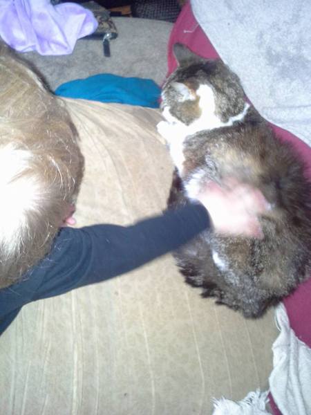 Anyone lost this? On my backstep if it's yours!