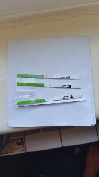 No period or pregnancy symptoms :/??