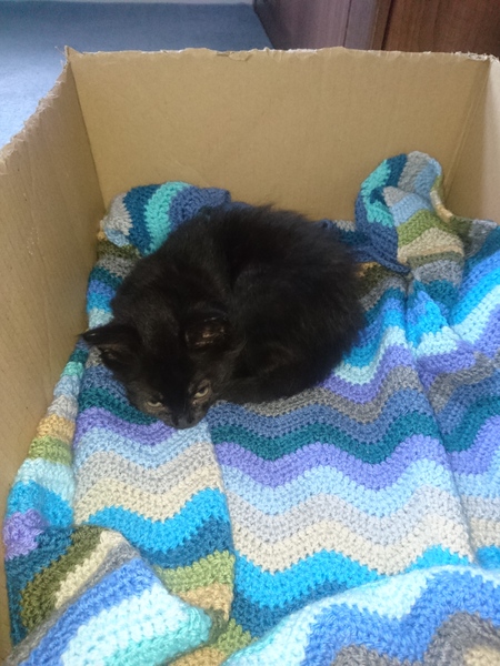 What project are you currently working on?