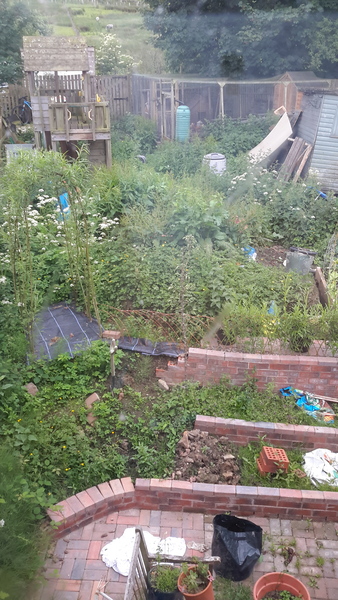 Frugaleers - joyfully jumping into June