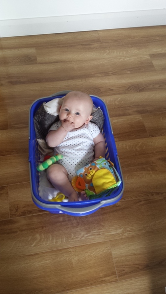 What container do you put your baby in?