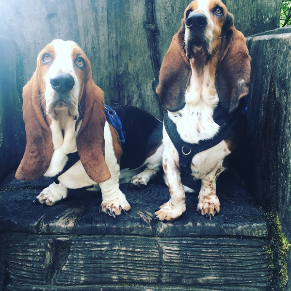 Week 2 Summer Low Carb Bootcamp - continued thread!