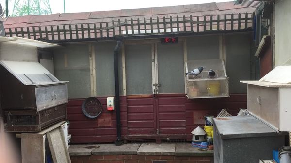 Anyone lost this? On my backstep if it's yours!