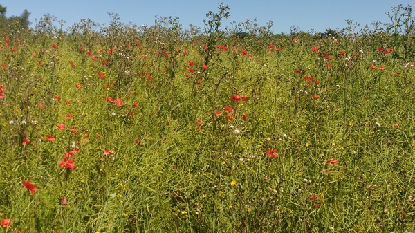Photos taken on your cycle.