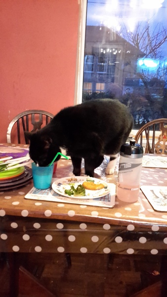 Frugaleers - joyfully jumping into June