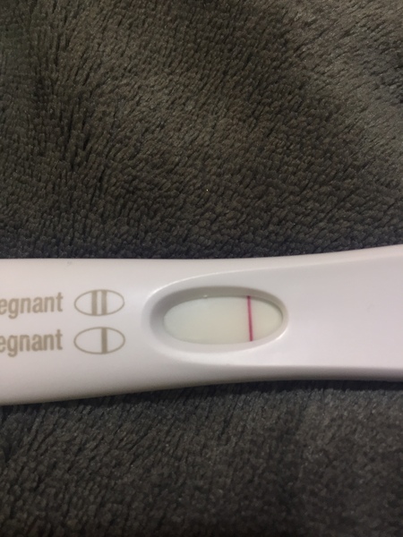 Jesus Christ someone tape my hands together - Prego Tests