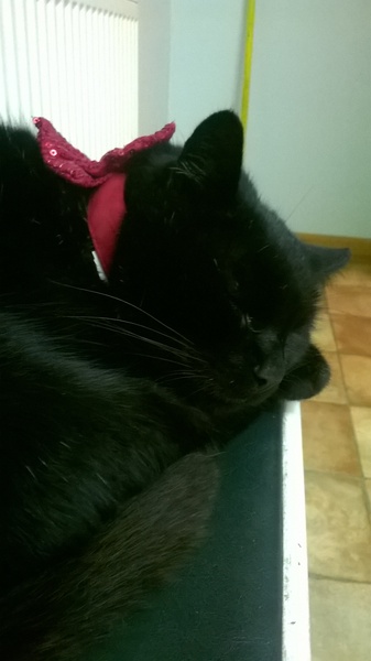 Frugaleers - joyfully jumping into June