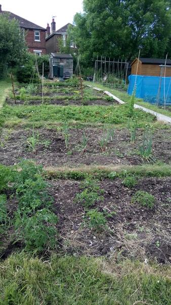 Allotment/Veg Patch Thread 9 - Spring is sprung, its getting really busy!
