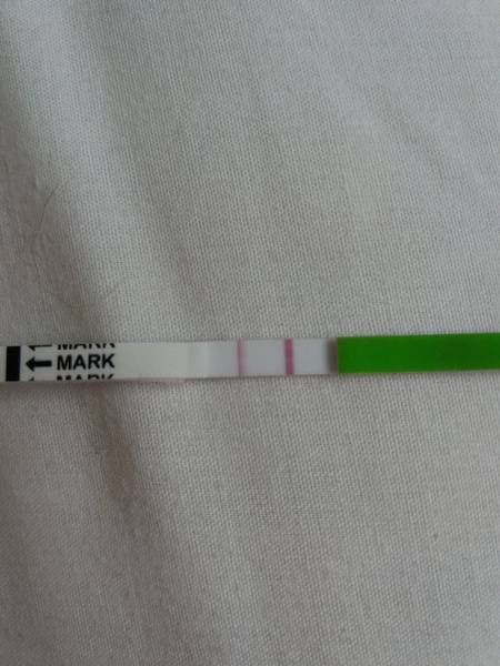 Is this opk positive yet please?