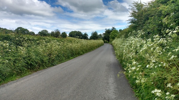 Photos taken on your cycle.