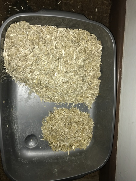 Aubiose for cat litter