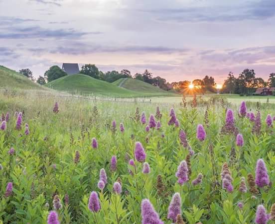 Swagger Inn 147 - Theresa may (see what I did there?) be a difficult woman, but we're all easy (ylt) in the Tav........