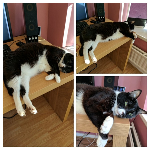 Week 4 - Low Carb Bootcamp - Coming to the end of our first month