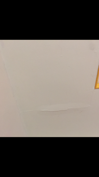 Any ceiling experts? Cracked & LL blaming us
