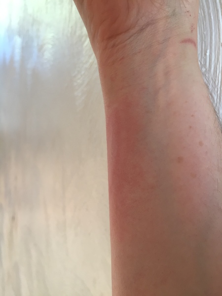 Week 4 - Low Carb Bootcamp - Coming to the end of our first month