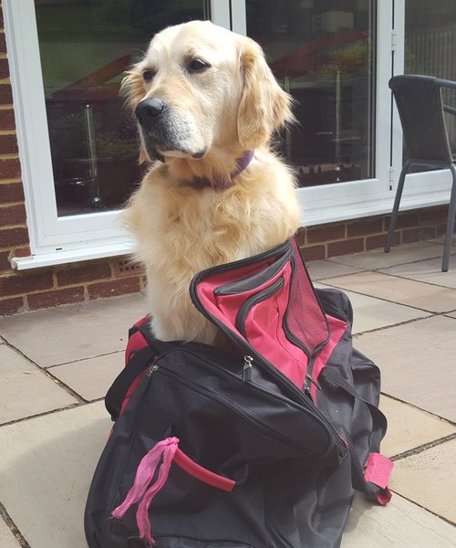 Westministenders: The Election Car Crash