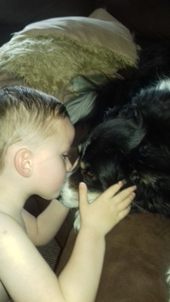 Tell us what your pets mean to you - for a chance to win a Fitbit Alta plus a copy of Finding Gobi. Now closed.