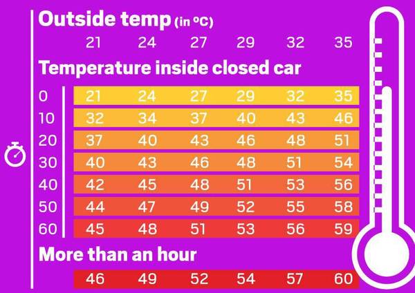 Dogs left in cars?