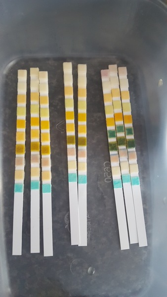 Urine test strips