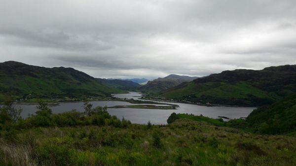 #makeithappen TTC through Donor IUI or Donor IVF or just undecided. All welcome. Thread 9