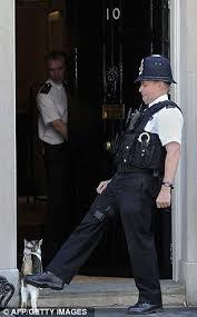 To be fascinated by Larry the cat on Downing street