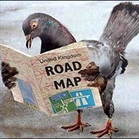 Anyone lost this? On my backstep if it's yours!