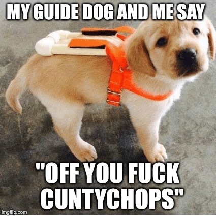 'Friend' can't or won't accept my guide dog...