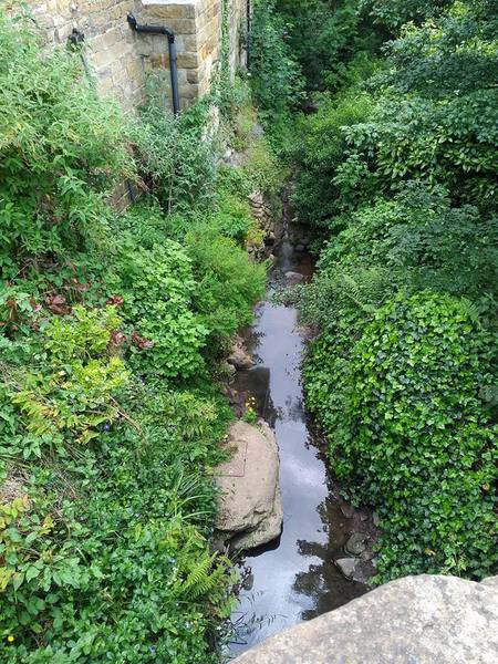 Photos taken on your cycle.