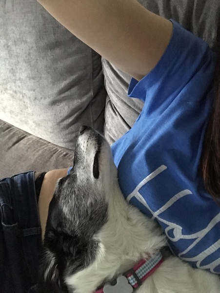 DDog (a rescue) and her weird eating habits