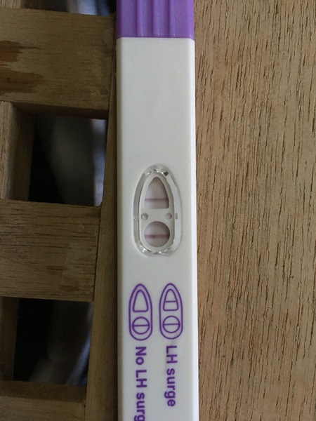 Jesus Christ someone tape my hands together - Prego Tests