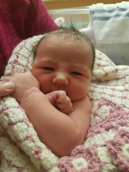 May 2017 #15 No sleep, night feeds and the newest arrivals