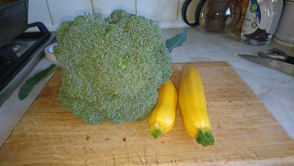 Allotment?Veg Patch Thread 10 - Plotmenters  busy into summer ! and loving James Wong