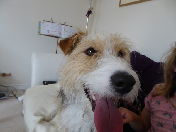 Frugaleers - joyfully jumping into June