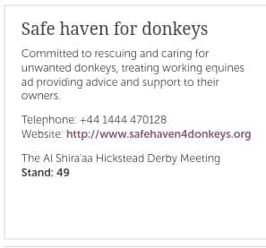 Safe Haven for Donkeys at Hickstead Derby (22-25 June)