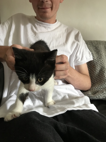 Colin's getting a new playmate!