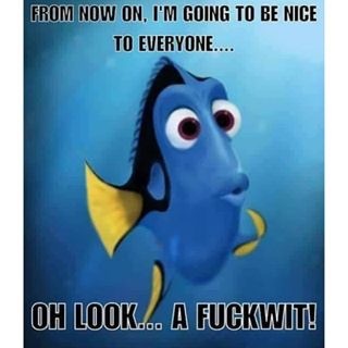 AIBU to think a lot of people are ignorant fuckers?
