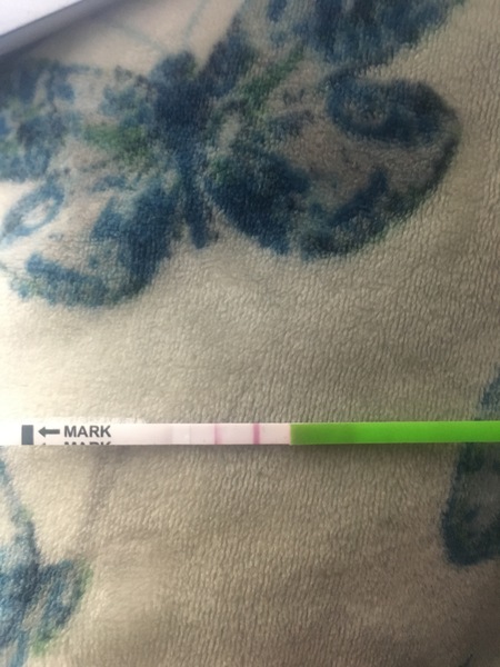 Ovulation without period?
