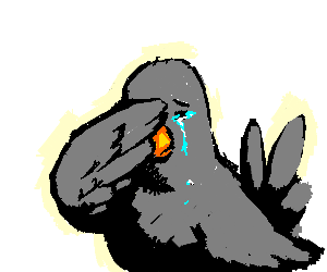 Anyone lost this? On my backstep if it's yours!