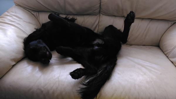 To think this is the worst case of manspreading ever seen? (Lighthearted)