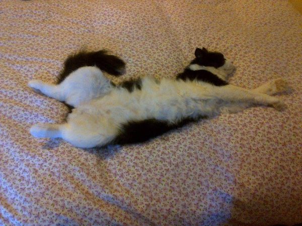 To think this is the worst case of manspreading ever seen? (Lighthearted)