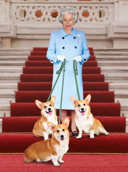 Westminstenders: The Brexit Apprentice