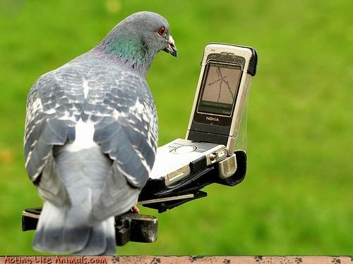 Anyone lost this? On my backstep if it's yours!