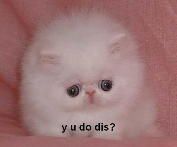Men: y u do dis?