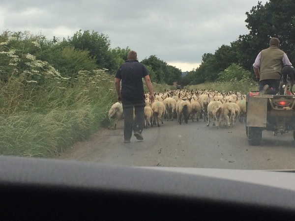 Frugaleers - joyfully jumping into June