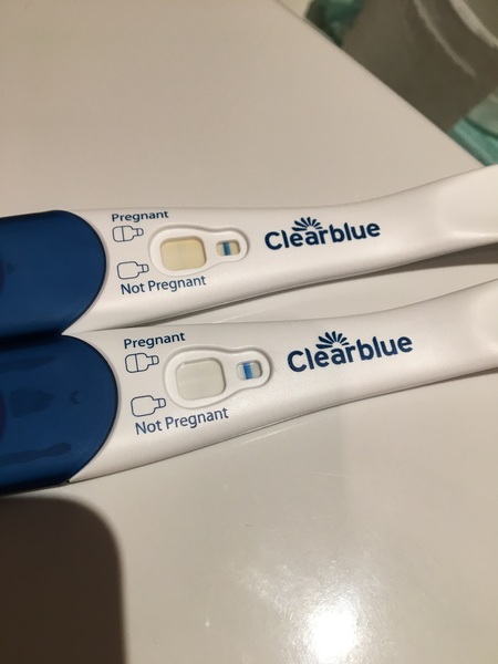 Jesus Christ someone tape my hands together - Prego Tests