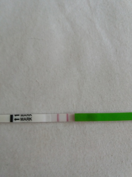 Is this opk positive yet please?