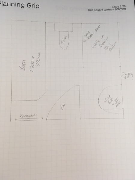 How would you layout this bathroom? (Rough floor plan attached)