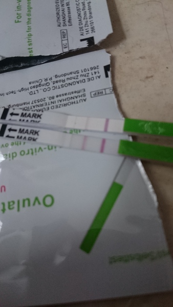 No period or pregnancy symptoms :/??
