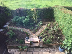 Allotment/Veg Patch Thread 9 - Spring is sprung, its getting really busy!