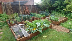 Allotment/Veg Patch Thread 9 - Spring is sprung, its getting really busy!